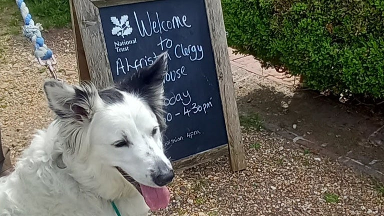 A dog visiting Alfriston Clergy House Sussex